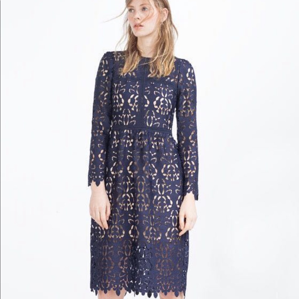 Zara Navy Blue Lace Crochet Midi Occasion Dress